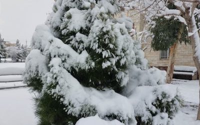بارش باران و برف در کشور تا جمعه 11 اسفند
